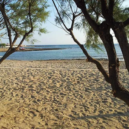 Camping Villaggio Pineta Al Mare-3