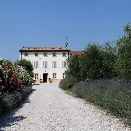 Agriturismo Casa Aurora-3