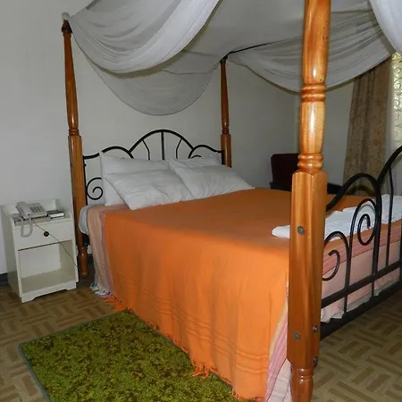 Hibiscus Guest House-3