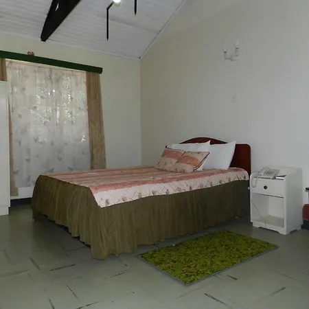Hibiscus Guest House-2