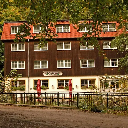 Waldhotel Am Ilsestein-2
