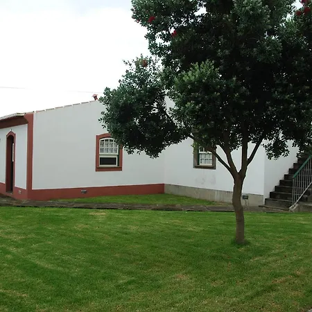 Quinta Dos Figos "5 Trevos Gold"-3
