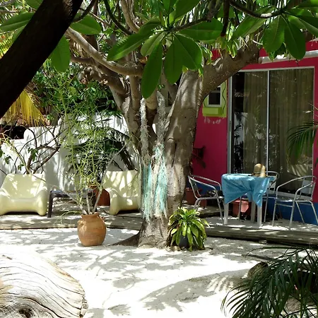 Beach House Aruba Apartments-2