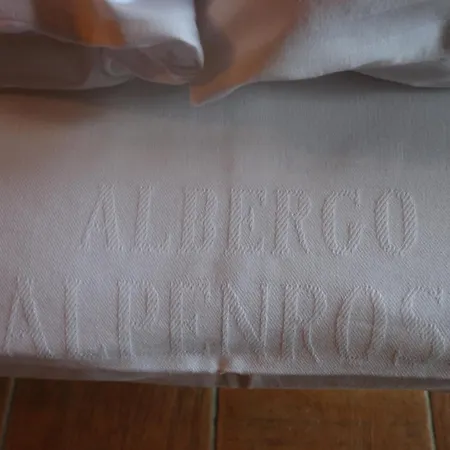 Albergo Alpenrose Ski&Bike Mountain Hotel-2