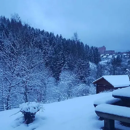 Altes Forstamt Altenau-3