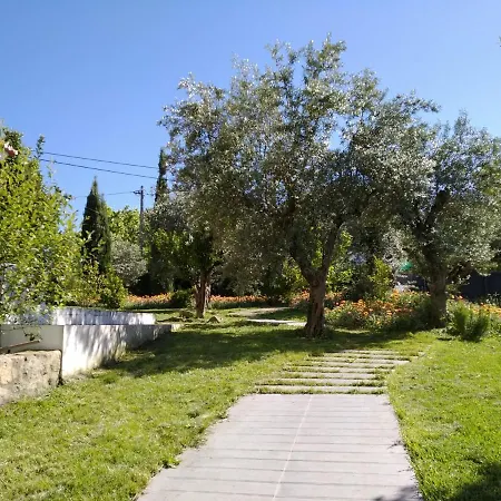 Casa Da Paleta-2