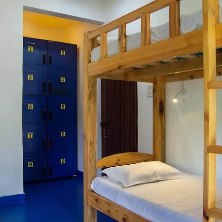 Green Nest Hostel - Anjuna , North Goa-3