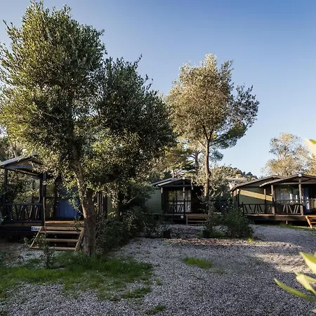 Oasi Camping-2