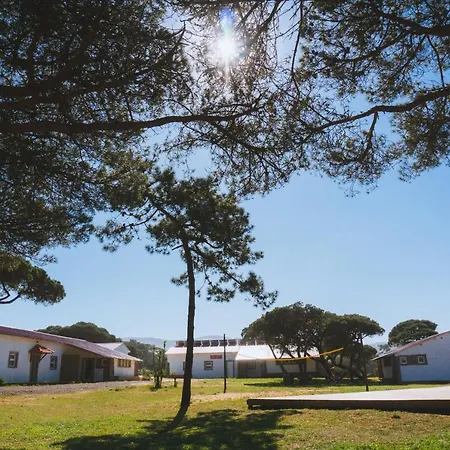 Oasis Backpackers Hostel Sintra Surf-2