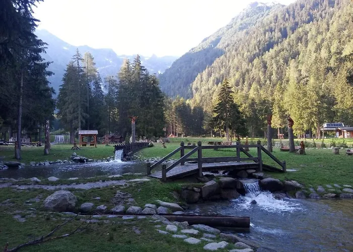 Hotel 3 stelle: Hotel Pineta