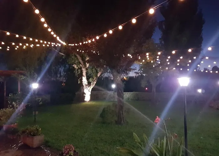 L'Albero Del Pepe