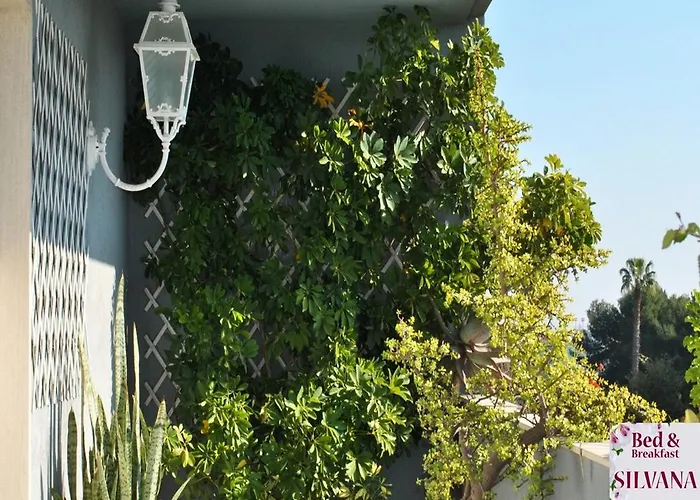 Bed And Breakfast Silvana