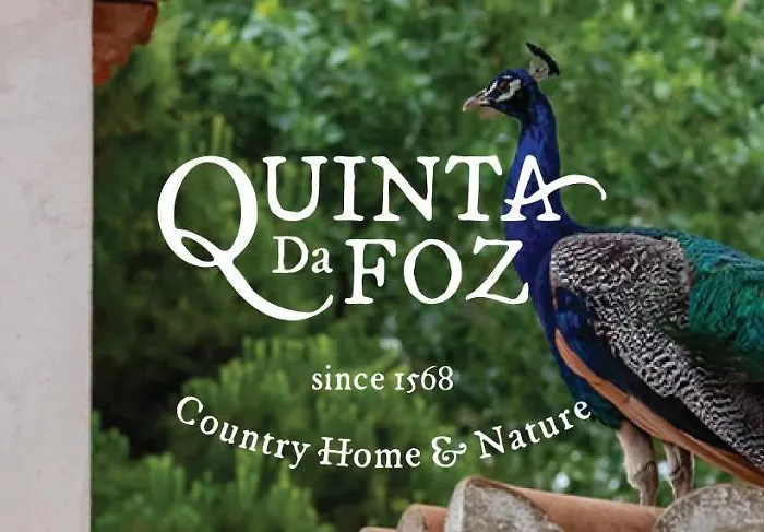 Alojamentos: Quinta Da Foz