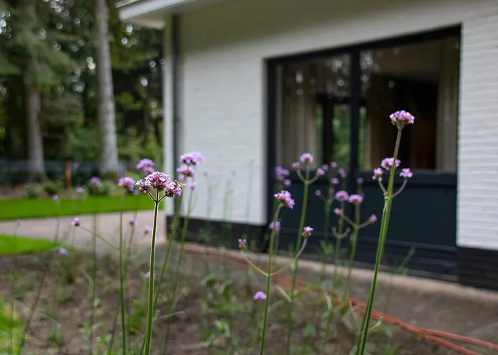 Vakantieverhuur: Villa Woudstee