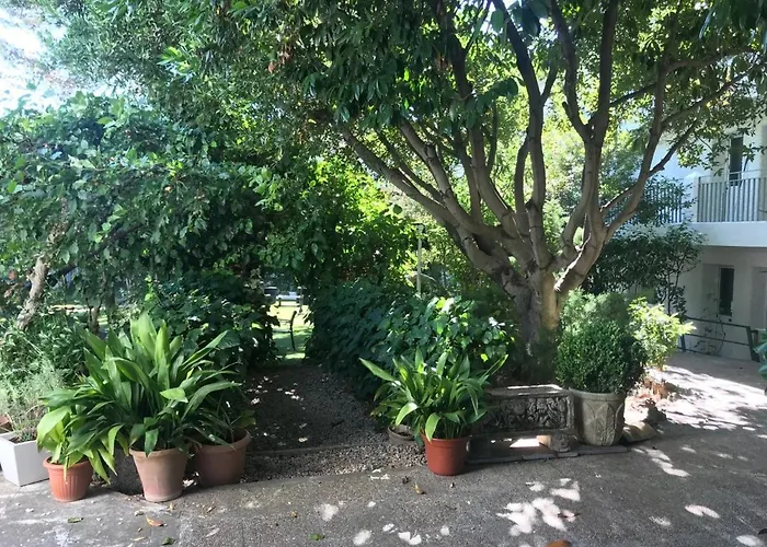 Hotel barato: Hotel Rural Mariblanca
