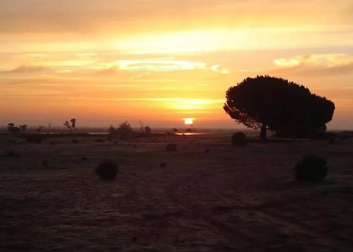 La Cabaña De Doñana