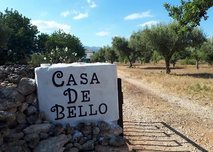  Casa De