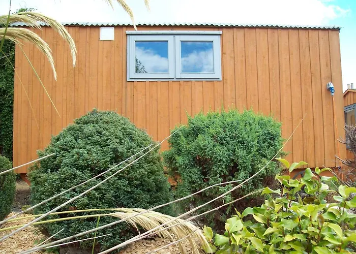 Waterloo Farm Shepherds Hut Glamping With Sun Lounge