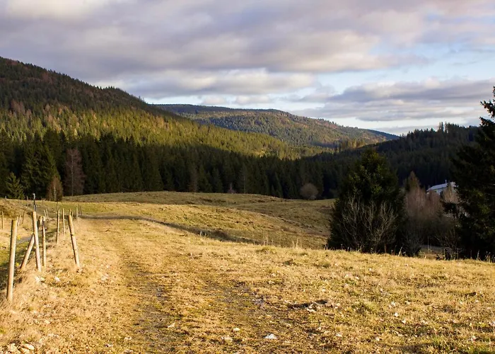 Gemuetliche Ferienwohnung - Mitten Im Schwarzwald