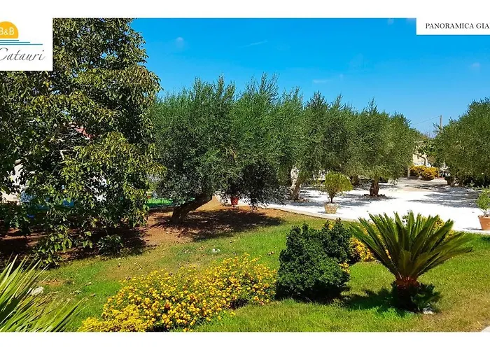  Li Catauri