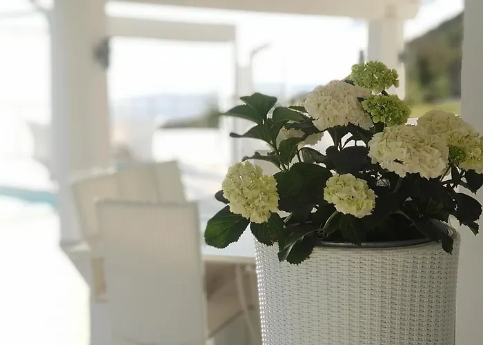 White Club Residence