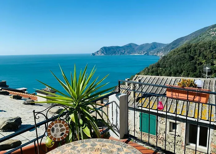 Corniglia Dreams