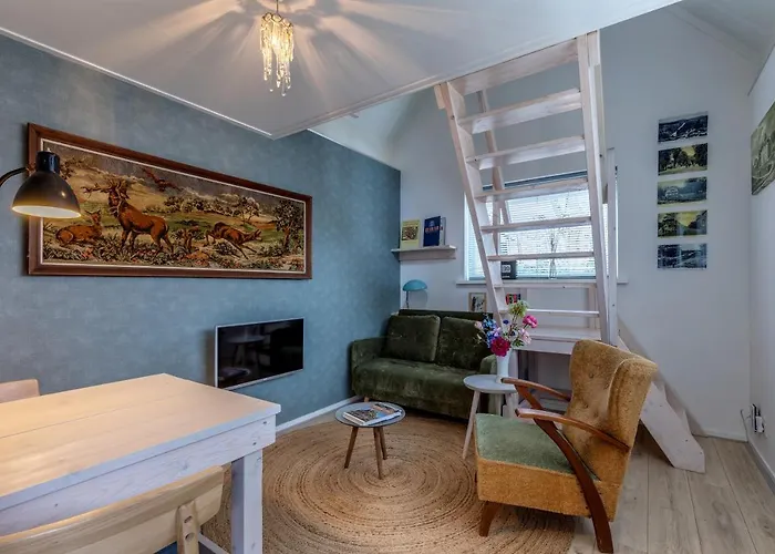  Larenstein Logeren In Een Tiny House