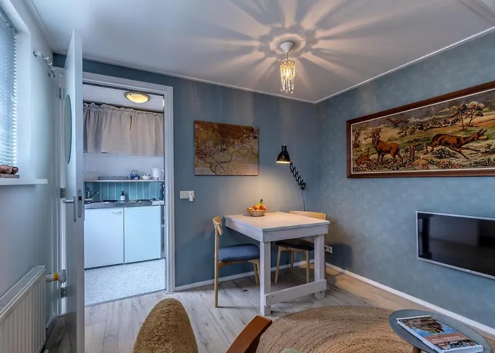  Larenstein Logeren In Een Tiny House
