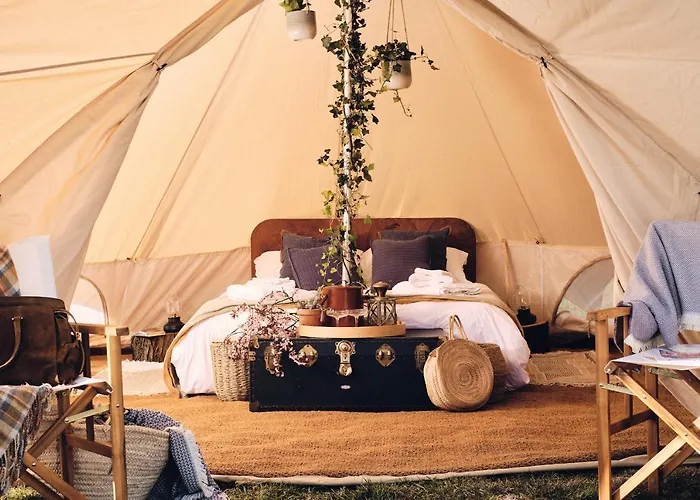 Campsite: The Quaives - Cottages & Glamping