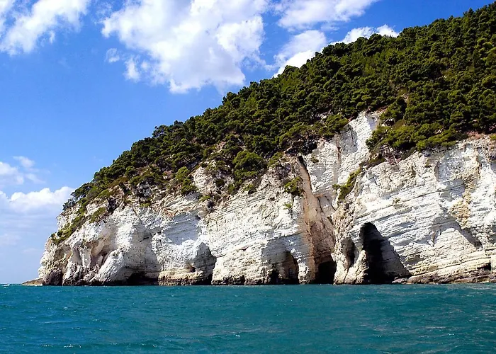 Apulia Bed&Breakfast