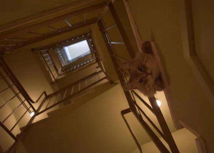 Albergo economico: Le Rossi Bed