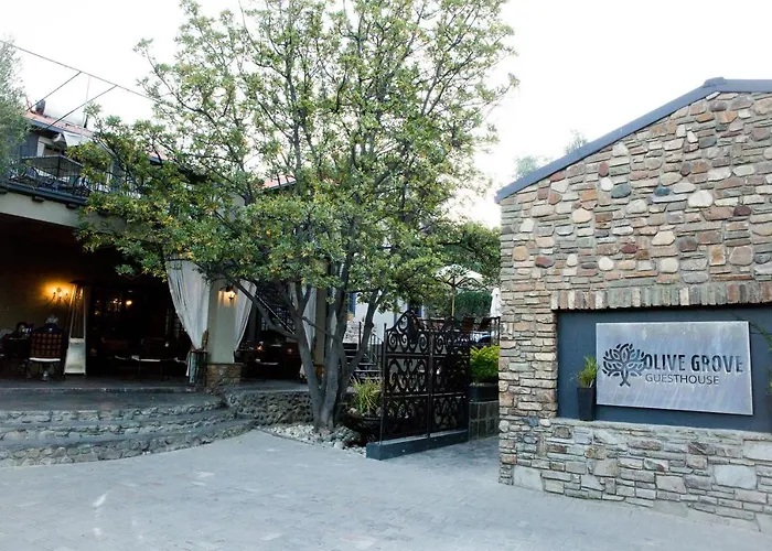 Hotel: Olive Grove Guesthouse