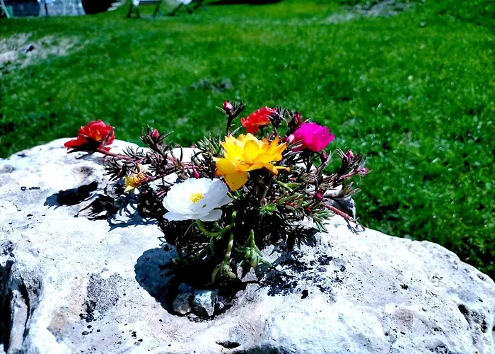 Hotel Flora Alpina