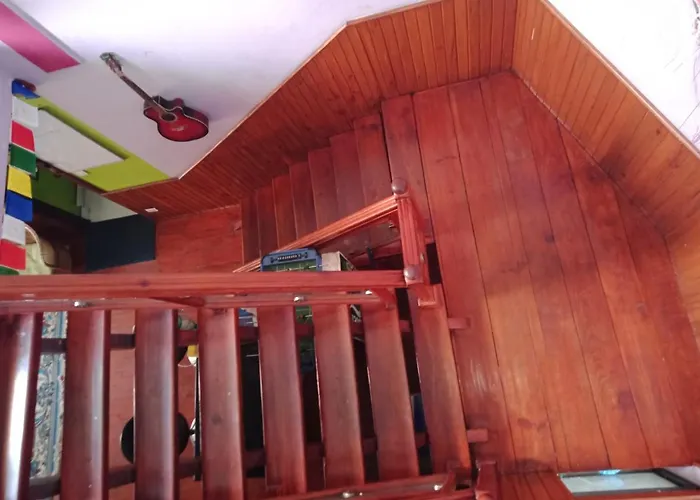 Monkey Bunky-3Monkeys Backpacker'S Hostel