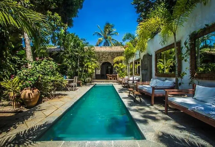  Monkey Casa