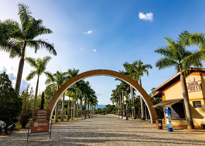 Romaria Aparecida
