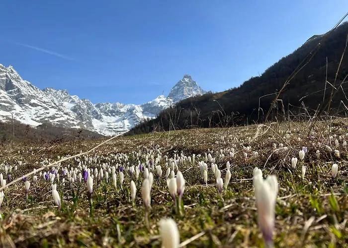 Hotel familiare: La Luge