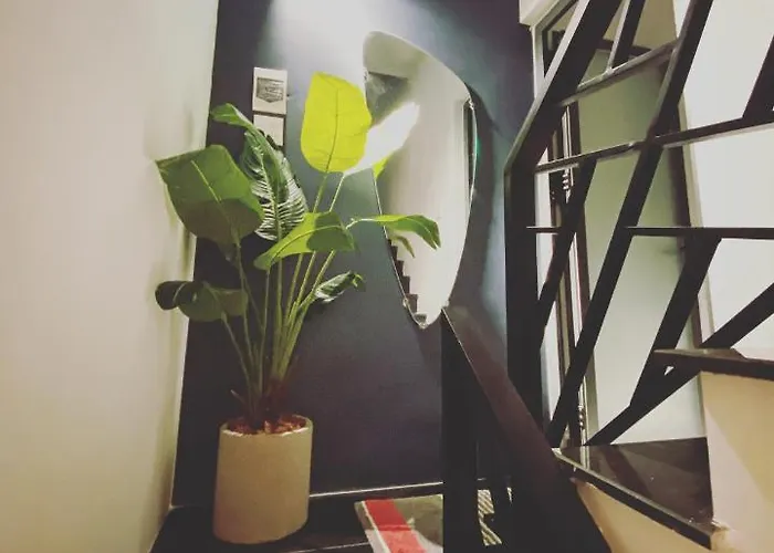 Lily House