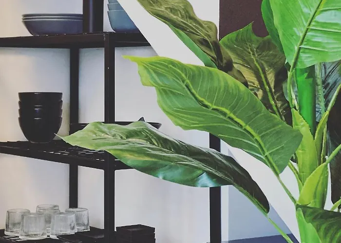 Lily House