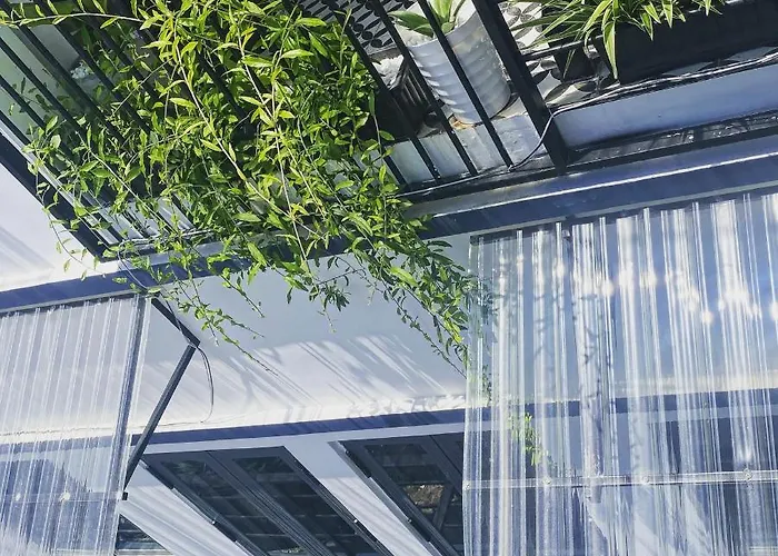 Lily House