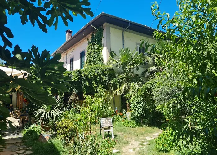 Mi Casa Es Tu Casa - Shkodra Backpackers Hostel