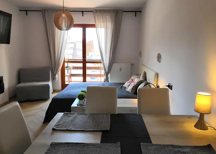 Ski&Bike Apartment Passo Tonale