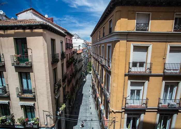 Luxury hotel only: Petit Palace Plaza Mayor