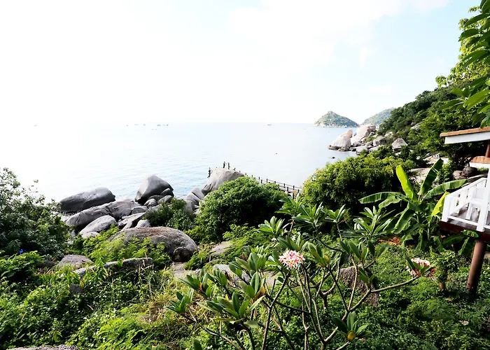 Koh Tao Hillside