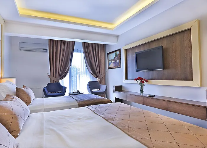 3 star hotel: Grand Sagcanlar Hotel