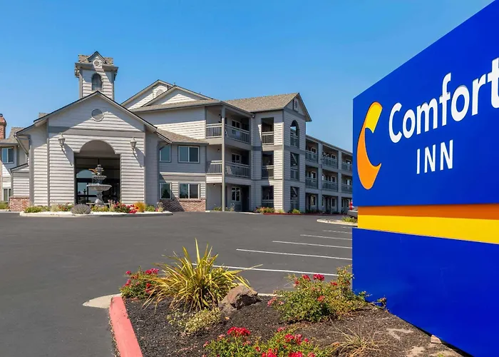 Comfort Inn Antioch - Century Plaza
