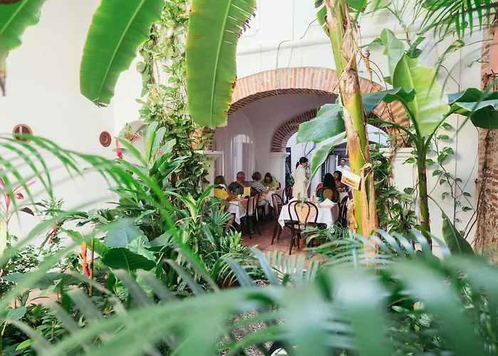 Resort: Alfiz Hotel