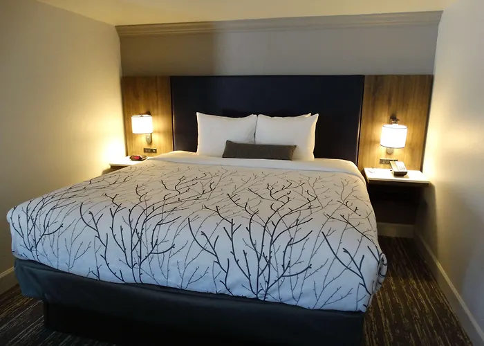Cheap hotel: Best Western Premier Denver East
