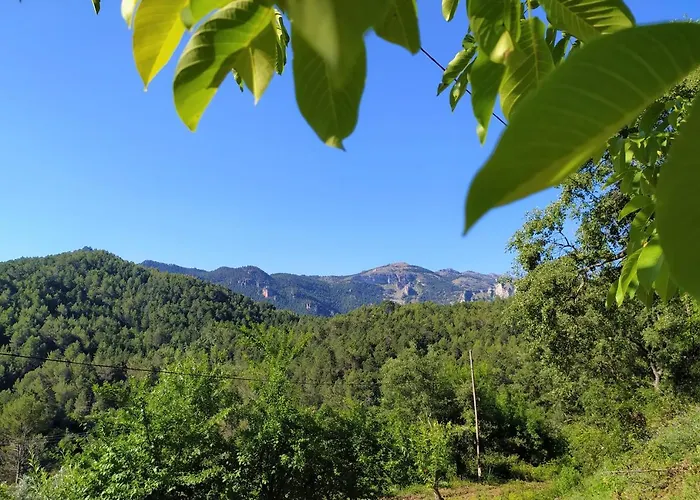 Casas Rurales La Tobica