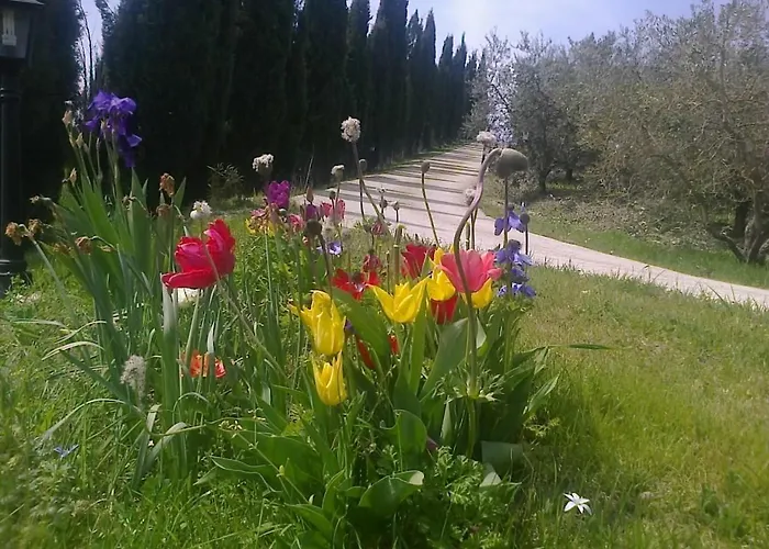  Ai Campi Da Golf